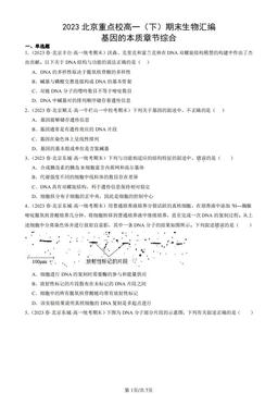 2023北京重点校高一（下）期末生物汇编：基因的本质章节综合-答案