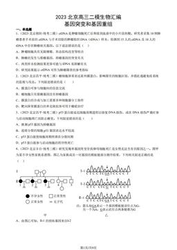 2023北京高三二模生物汇编：基因突变和基因重组-答案