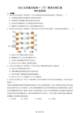 2023北京重点校高一（下）期末生物汇编：DNA的结构-答案