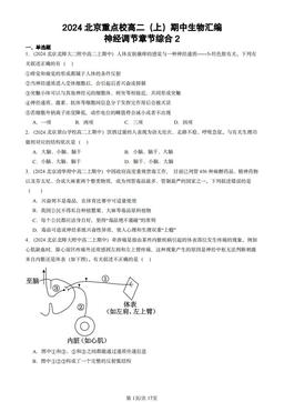 2024北京重点校高二（上）期中生物汇编：神经调节章节综合2-答案