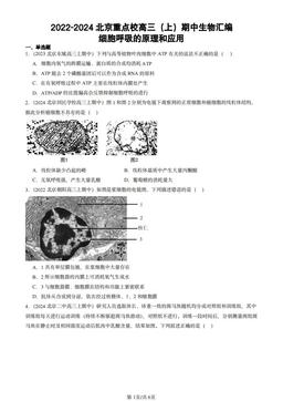 2022-2024北京重点校高三（上）期中生物汇编：细胞呼吸的原理和应用-答案