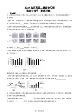 2024北京高三二模生物汇编：稳态与调节（非选择题）-答案