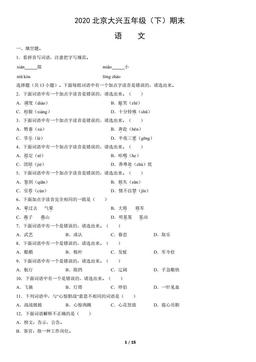 2020北京大兴五年级（下）期末语文（教师版）-答案