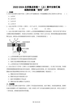 2022-2024北京重点校高一（上）期中生物汇编：细胞的能量“货币”ATP-答案