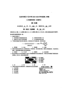 2025北京五十五中高一3月月考生物（合格考）-答案