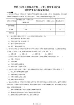 2023-2025北京重点校高一（下）期末生物汇编：细胞的生命历程章节综合-答案
