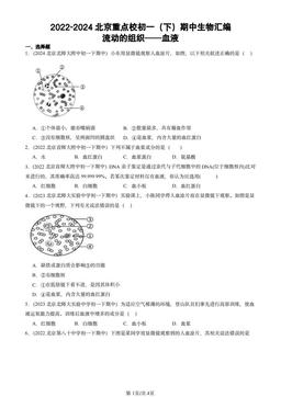 2022-2024北京重点校初一（下）期中生物汇编：流动的组织──血液-答案