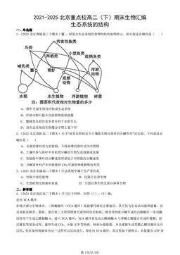 2021-2025北京重点校高二（下）期末生物汇编：生态系统的结构-答案