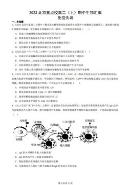 2023北京重点校高二（上）期中生物汇编：免疫失调-答案