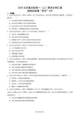 2024北京重点校高一（上）期末生物汇编：细胞的能量“货币”ATP-答案