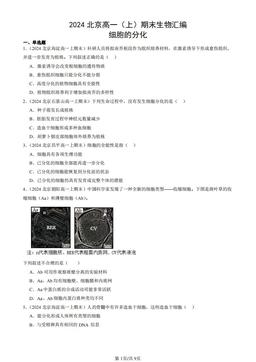 2024北京高一（上）期末生物汇编：细胞的分化-答案