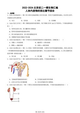 2022-2024北京初二一模生物汇编：人体内废物的排出章节综合-答案