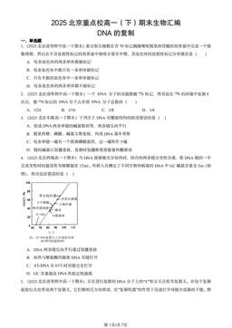 2025北京重点校高一（下）期末生物汇编：DNA的复制-答案