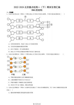 2022-2024北京重点校高一（下）期末生物汇编：DNA的结构-答案