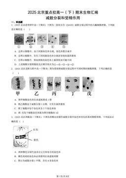 2025北京重点校高一（下）期末生物汇编：减数分裂和受精作用-答案