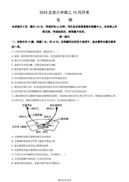 2024北京八中高二10月月考生物（教师版）-答案