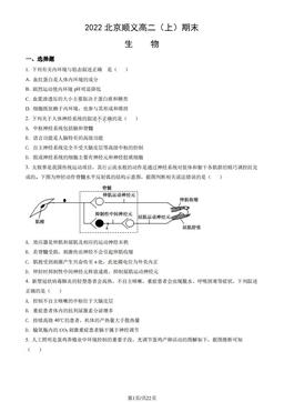 2022北京顺义高二（上）期末生物（教师版）-答案