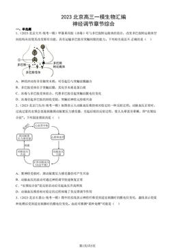 2023北京高三一模生物汇编：神经调节章节综合-答案