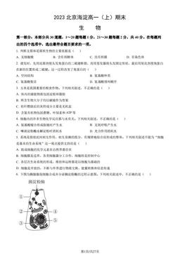 2023北京海淀高一（上）期末生物（教师版）-答案