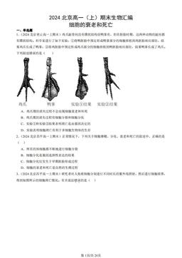 2024北京高一（上）期末生物汇编：细胞的衰老和死亡-答案