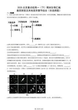 2025北京重点校高一（下）期末生物汇编：基因突变及其他变异章节综合（非选择题）-答案
