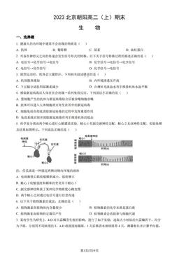 2023北京朝阳高二（上）期末生物（教师版）-答案