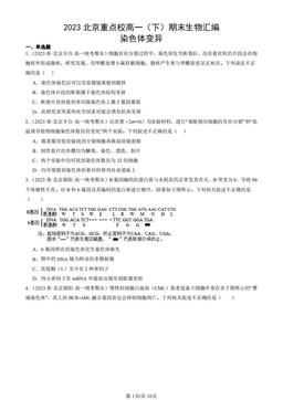 2023北京重点校高一（下）期末生物汇编：染色体变异-答案