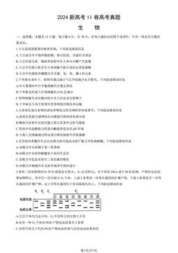 2024新高考II卷高考真题生物（教师版）-答案