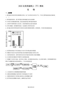 2022北京西城高二（下）期末生物（教师版）-答案
