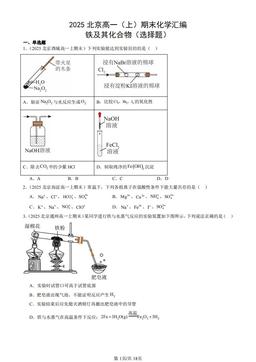2025北京高一（上）期末化学汇编：铁及其化合物（选择题）-答案