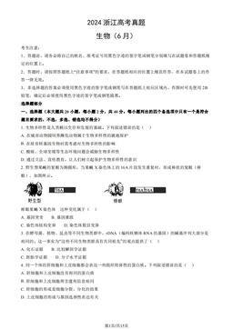 2024浙江高考真题生物（6月）（教师版）-答案