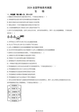 2024全国甲卷高考真题生物（教师版）-答案