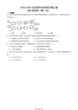 2023-2025北京高中合格考生物汇编：DNA的结构（第一次）-答案