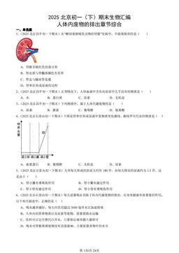 2025北京初一（下）期末生物汇编：人体内废物的排出章节综合-答案