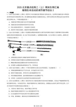 2025北京重点校高二（上）期末生物汇编：植物生命活动的调节章节综合2-答案