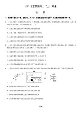 2022北京朝阳高二（上）期末生物（教师版）-答案