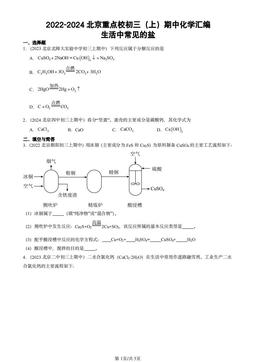 2022-2024北京重点校初三（上）期中化学汇编：生活中常见的盐-答案