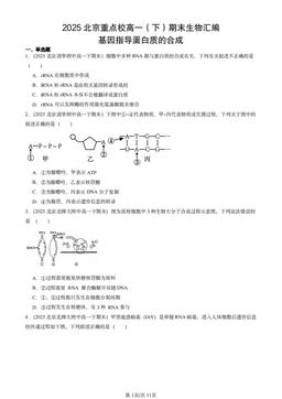 2025北京重点校高一（下）期末生物汇编：基因指导蛋白质的合成-答案