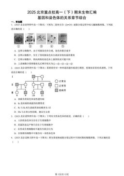 2025北京重点校高一（下）期末生物汇编：基因和染色体的关系章节综合-答案