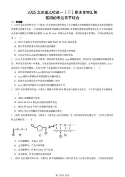 2025北京重点校高一（下）期末生物汇编：基因的表达章节综合-答案