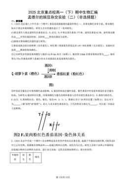 2025北京重点校高一（下）期中生物汇编：孟德尔的豌豆杂交实验（二）（非选择题）-答案