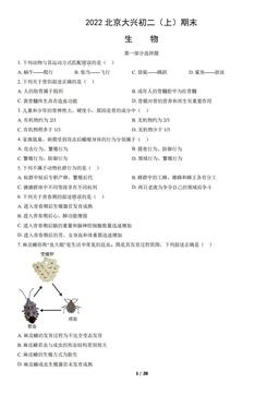 2022北京大兴初二（上）期末生物（教师版）-答案