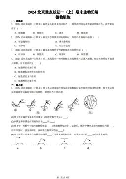2024北京重点校初一（上）期末生物汇编：植物细胞-答案