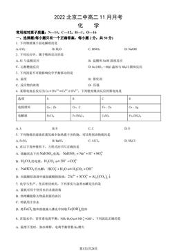 2022北京二中高二11月月考化学（教师版）-答案