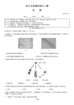 2019北京通州初三一模生物（教师版）-答案