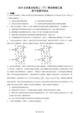 2024北京重点校高二（下）期末物理汇编：原子核章节综合-答案
