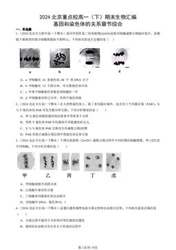 2024北京重点校高一（下）期末生物汇编：基因和染色体的关系章节综合-答案