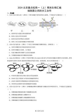 2024北京重点校高一（上）期末生物汇编：细胞器之间的分工合作-答案