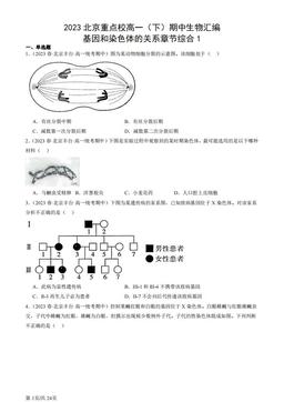 2023北京重点校高一（下）期中生物汇编：基因和染色体的关系章节综合1-答案