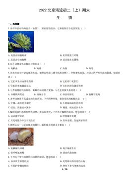 2022北京海淀初二（上）期末生物（教师版）-答案